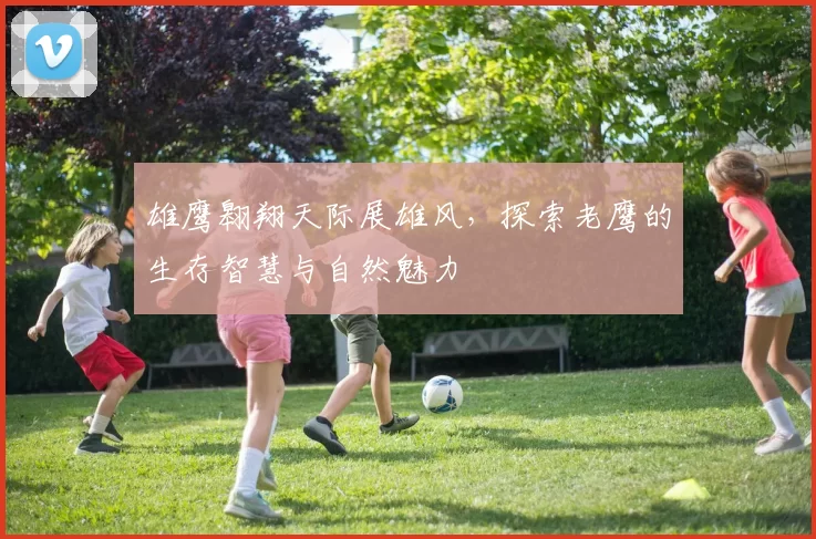 雄鹰翱翔天际展雄风，探索老鹰的生存智慧与自然魅力
