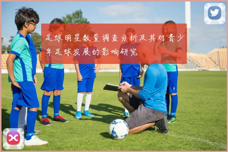 足球明星数量调查分析及其对青少年足球发展的影响研究