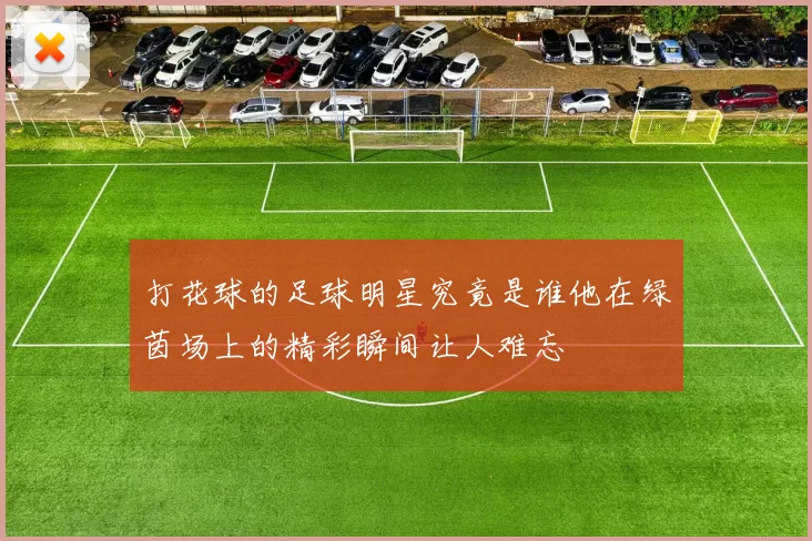 打花球的足球明星究竟是谁他在绿茵场上的精彩瞬间让人难忘