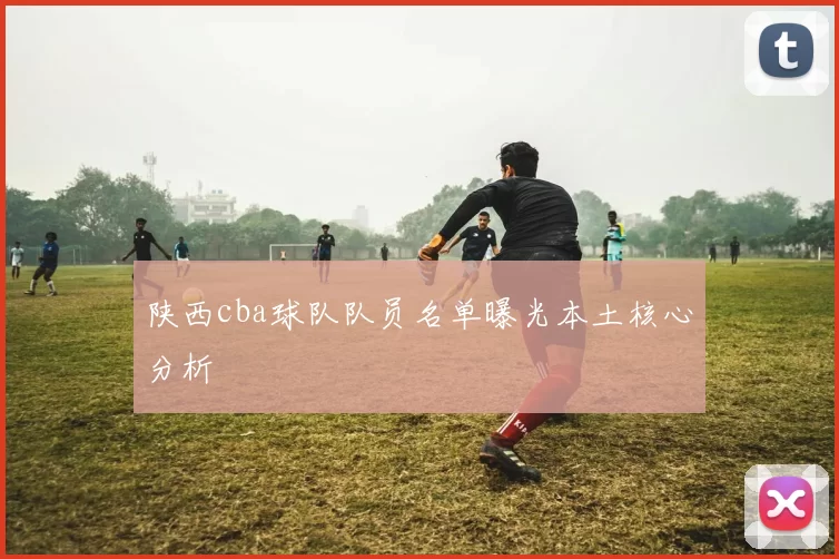 陕西cba球队队员名单曝光本土核心分析