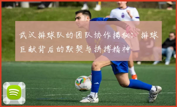 武汉排球队的团队协作揭秘：排球巨献背后的默契与拼搏精神