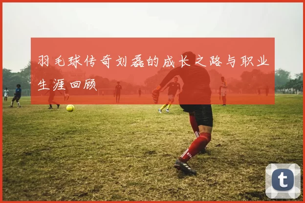 羽毛球传奇刘磊的成长之路与职业生涯回顾