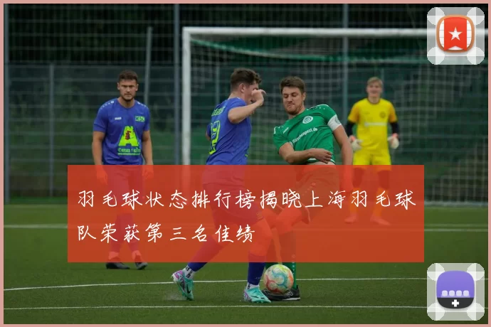 羽毛球状态排行榜揭晓上海羽毛球队荣获第三名佳绩