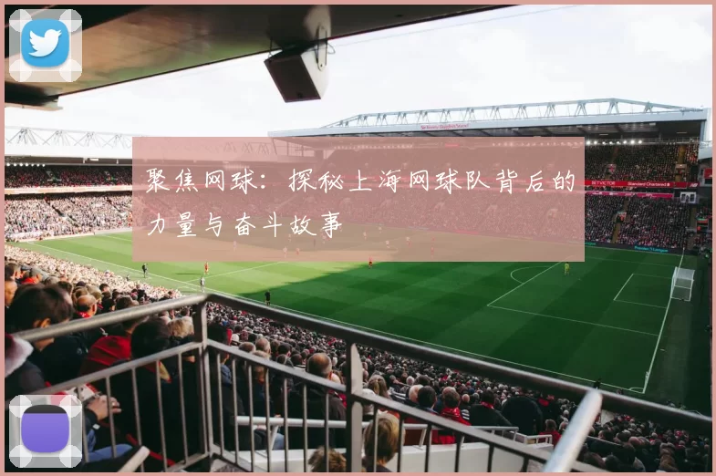 聚焦网球：探秘上海网球队背后的力量与奋斗故事