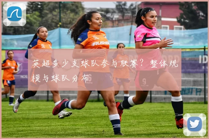 英超多少支球队参与联赛？整体规模与球队分布