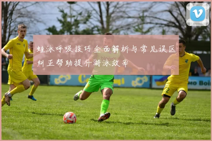 蛙泳呼吸技巧全面解析与常见误区纠正帮助提升游泳效率