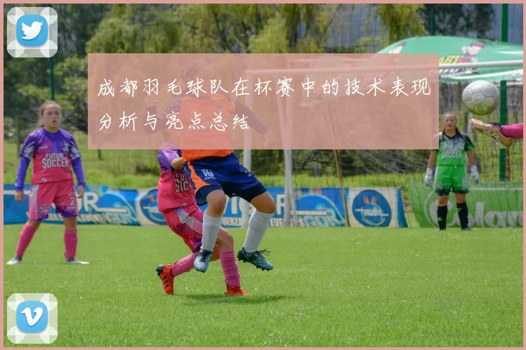 成都羽毛球队在杯赛中的技术表现分析与亮点总结
