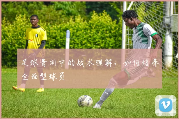 足球青训中的战术理解，如何培养全面型球员