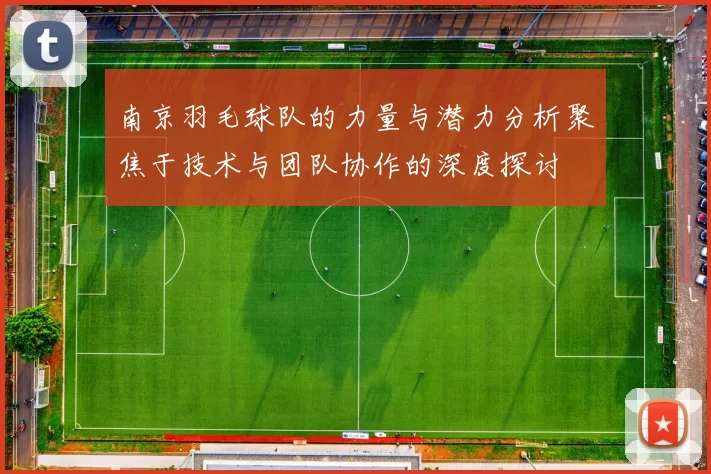 南京羽毛球队的力量与潜力分析聚焦于技术与团队协作的深度探讨