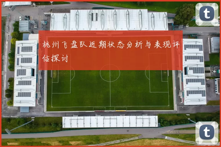 杭州飞盘队近期状态分析与表现评估探讨