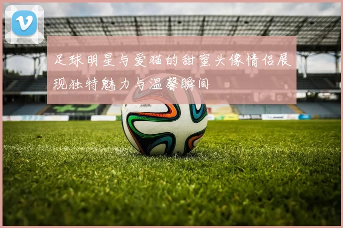 足球明星与爱猫的甜蜜头像情侣展现独特魅力与温馨瞬间