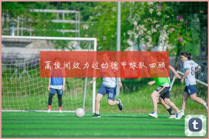 蒿俊闵效力过的德甲球队回顾