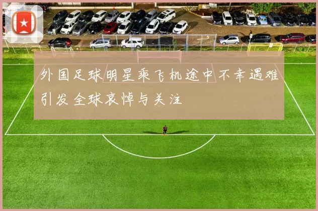 外国足球明星乘飞机途中不幸遇难引发全球哀悼与关注