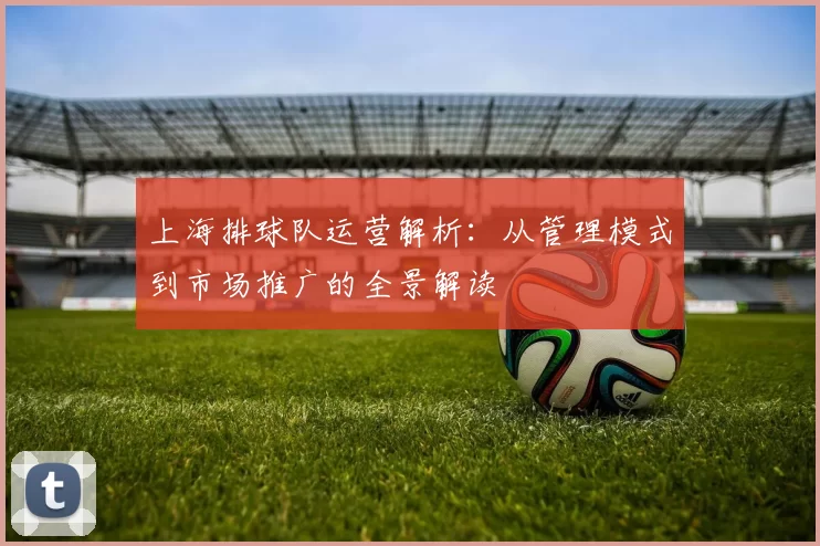 上海排球队运营解析：从管理模式到市场推广的全景解读
