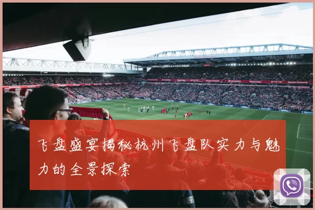 飞盘盛宴揭秘杭州飞盘队实力与魅力的全景探索