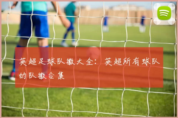 英超足球队徽大全：英超所有球队的队徽合集