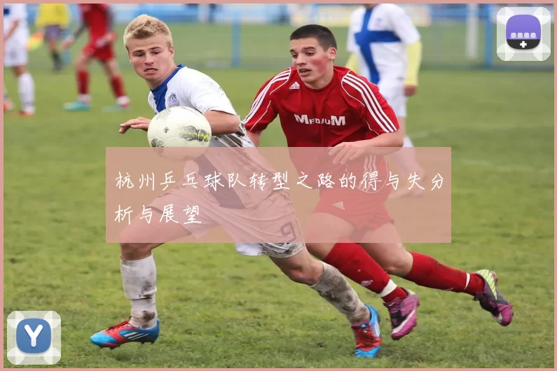 杭州乒乓球队转型之路的得与失分析与展望