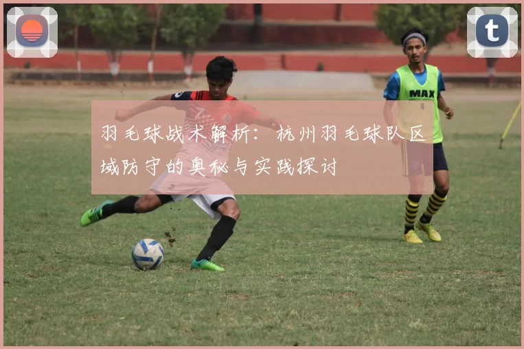 羽毛球战术解析：杭州羽毛球队区域防守的奥秘与实践探讨