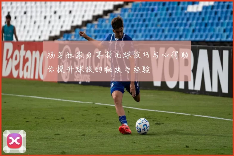 杨芳独家分享羽毛球技巧与心得助你提升球技的秘诀与经验