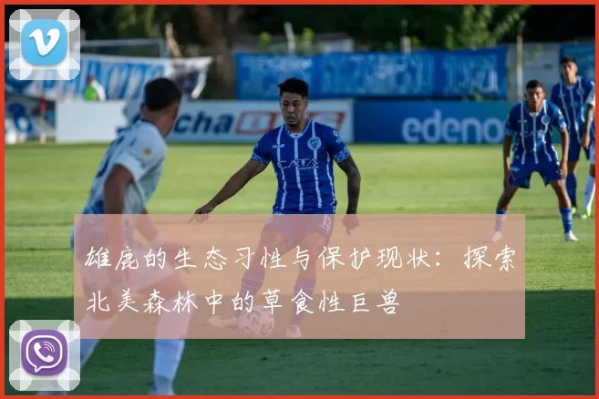 雄鹿的生态习性与保护现状：探索北美森林中的草食性巨兽