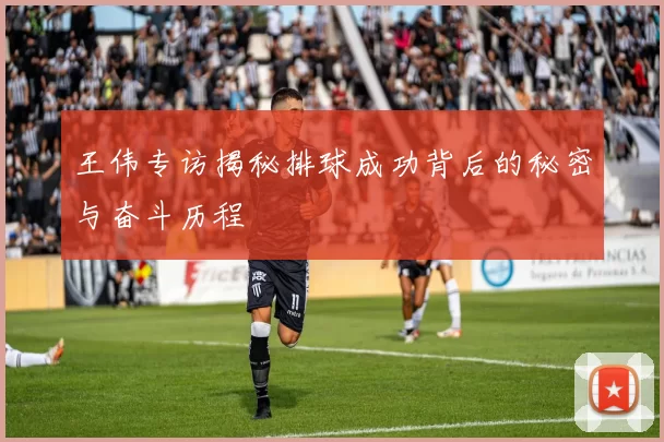 王伟专访揭秘排球成功背后的秘密与奋斗历程