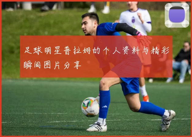 足球明星普拉姆的个人资料与精彩瞬间图片分享