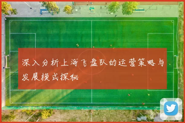 深入分析上海飞盘队的运营策略与发展模式探秘
