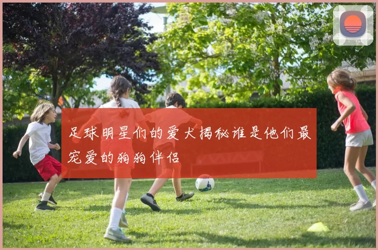足球明星们的爱犬揭秘谁是他们最宠爱的狗狗伴侣