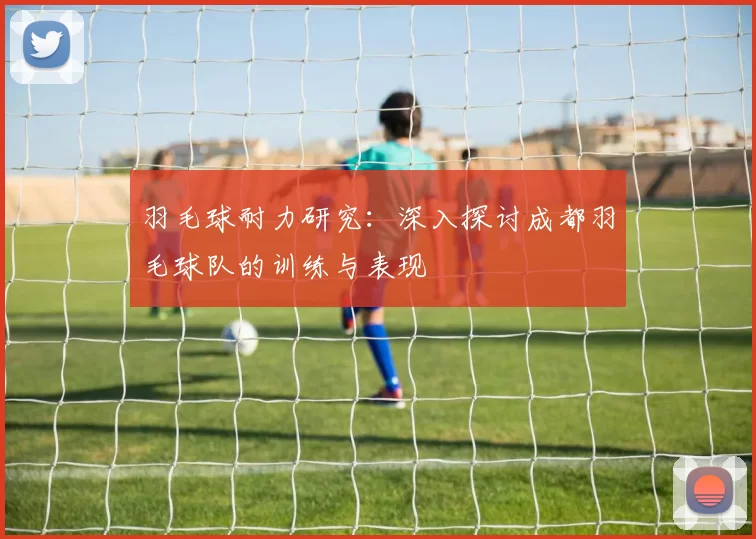 羽毛球耐力研究：深入探讨成都羽毛球队的训练与表现