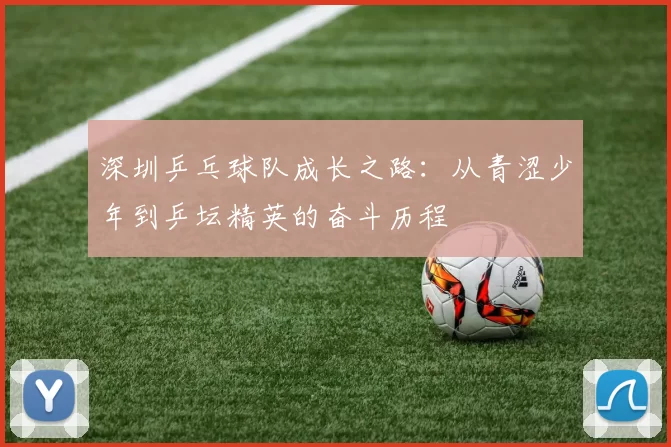 深圳乒乓球队成长之路：从青涩少年到乒坛精英的奋斗历程