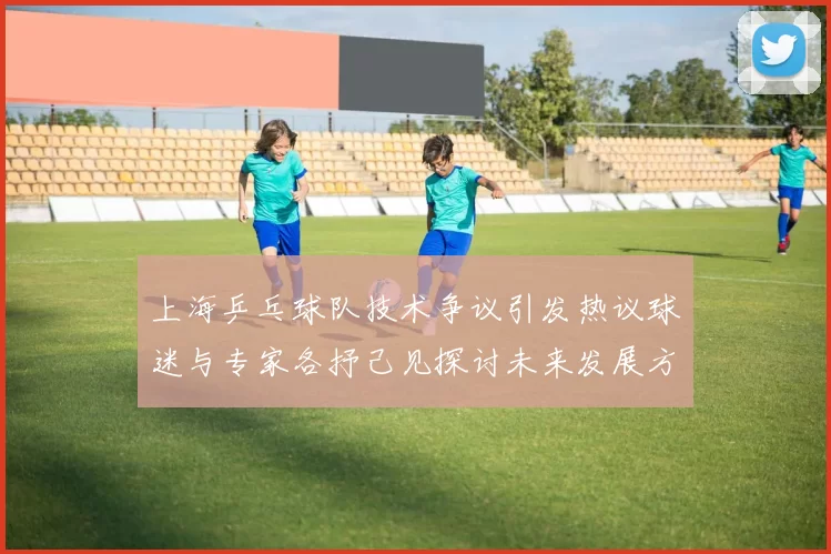 上海乒乓球队技术争议引发热议球迷与专家各抒己见探讨未来发展方向