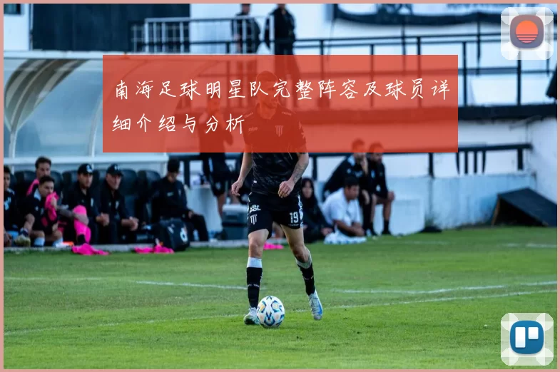 南海足球明星队完整阵容及球员详细介绍与分析