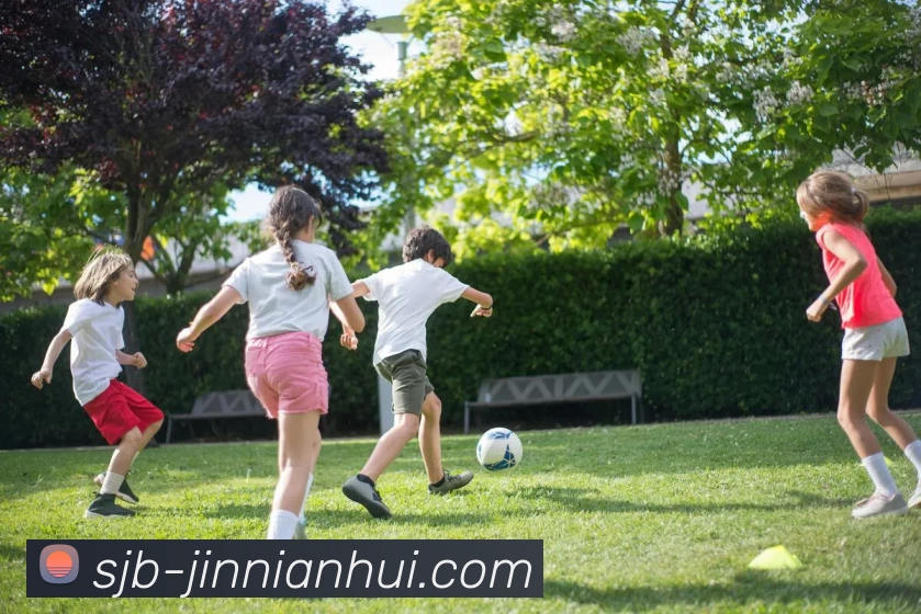 App Interface Preview